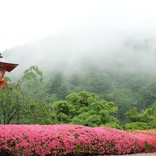 善峯寺