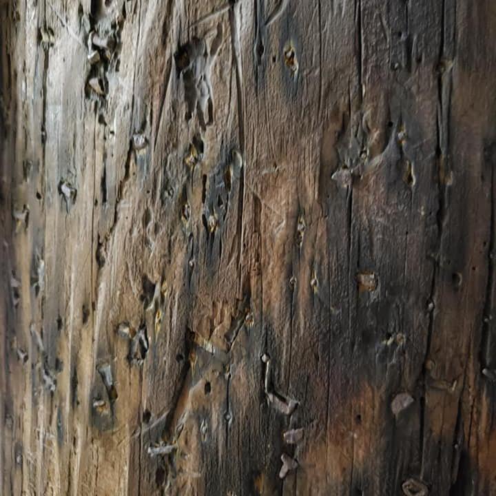 一乗寺