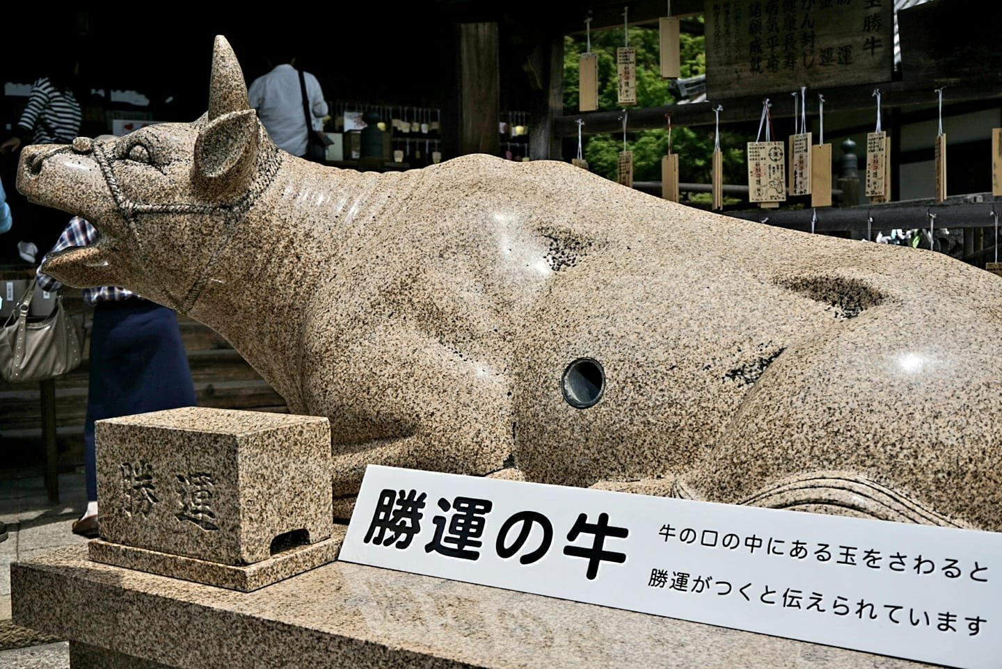 三室戸寺