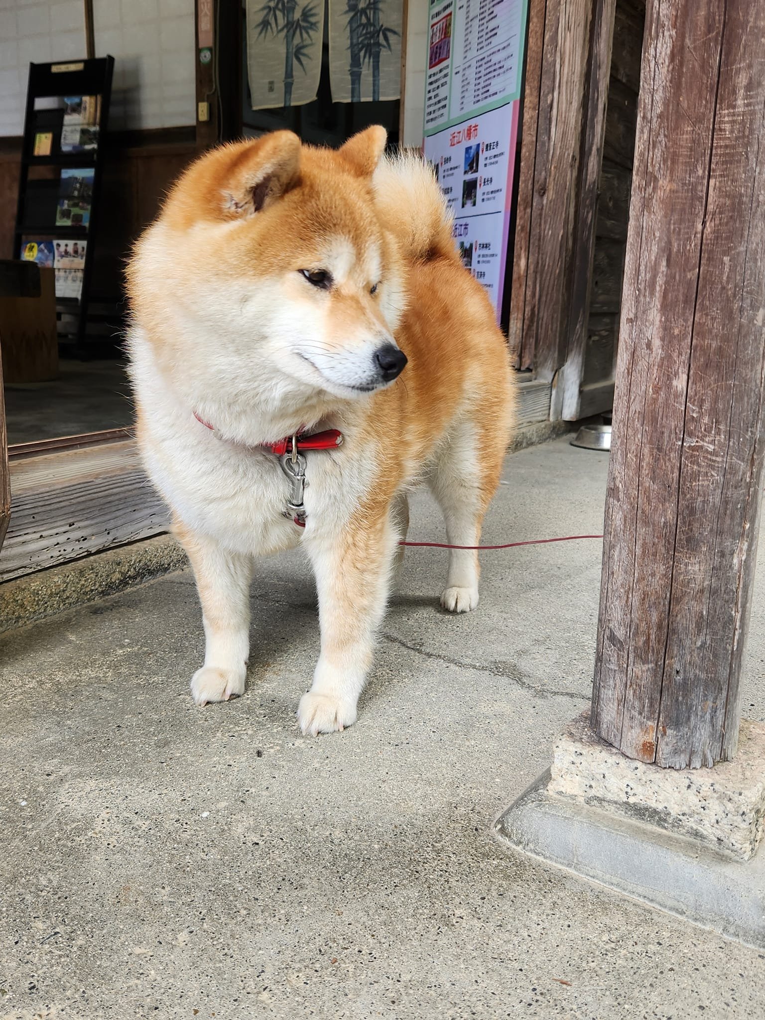 観音正寺