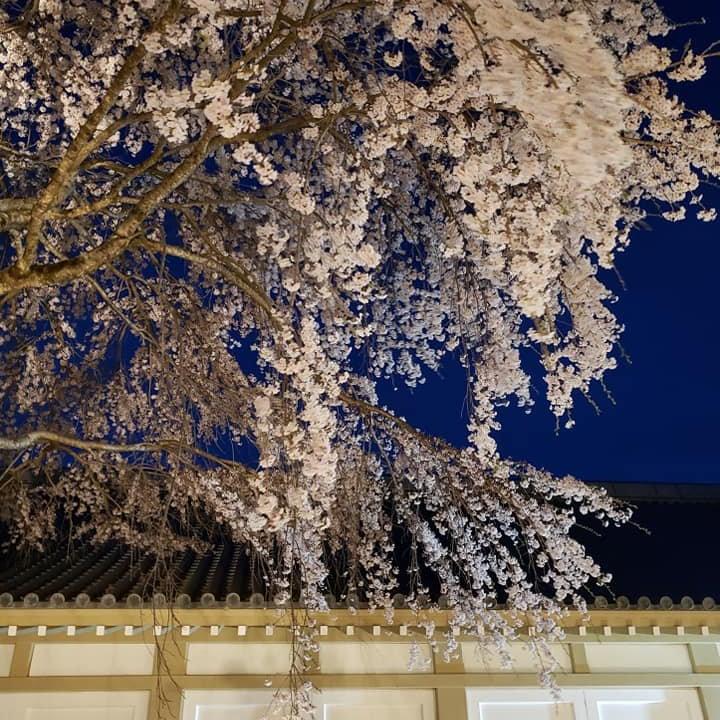 醍醐寺