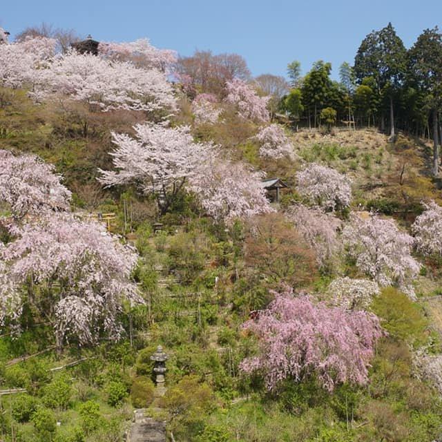 善峯寺