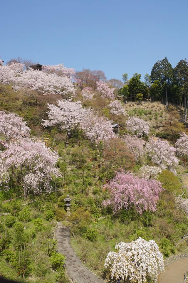 善峯寺