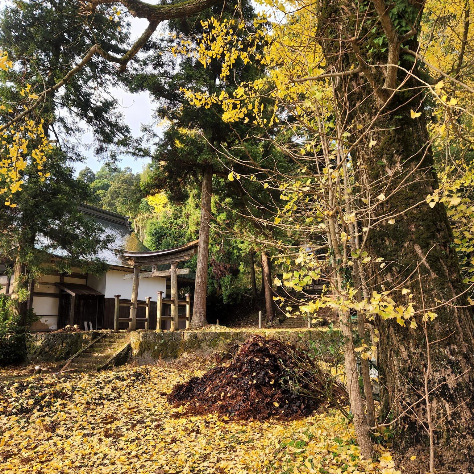 松尾寺