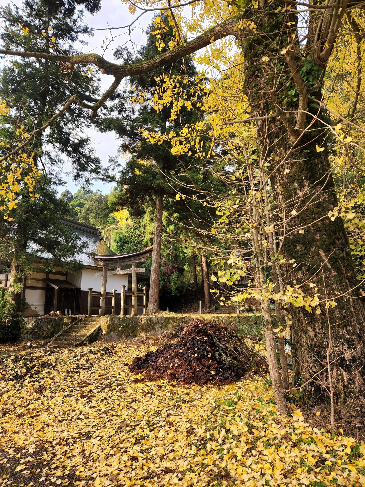 松尾寺