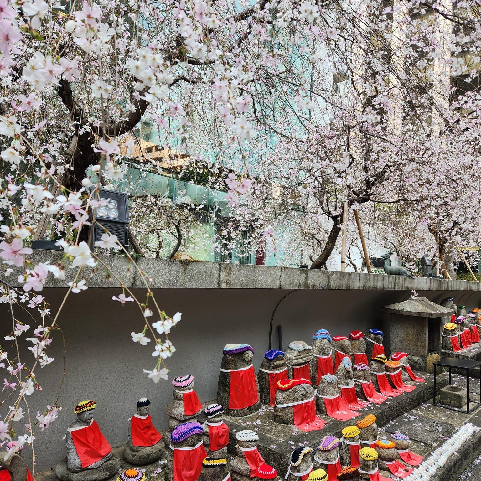 六角堂　頂法寺