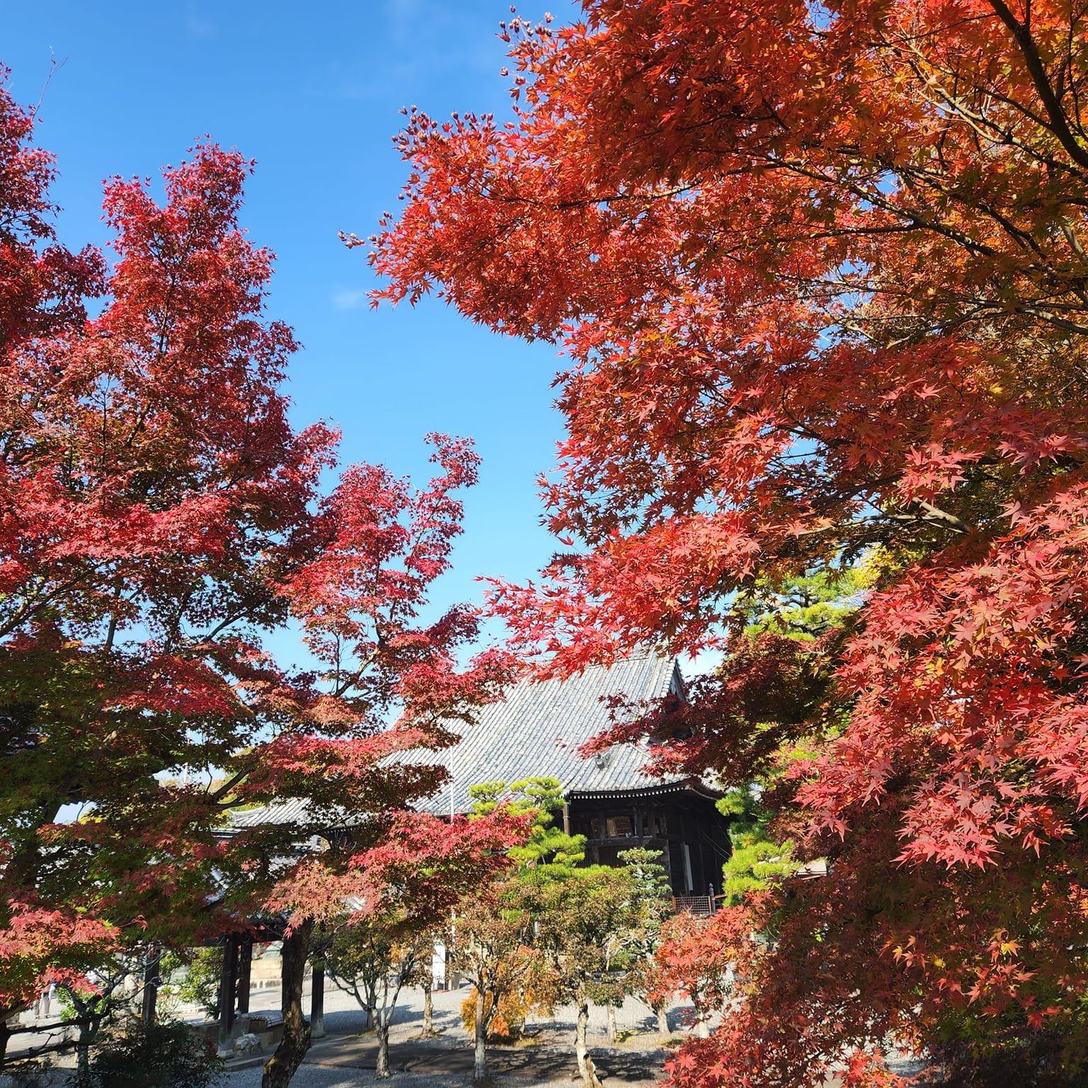 穴太寺