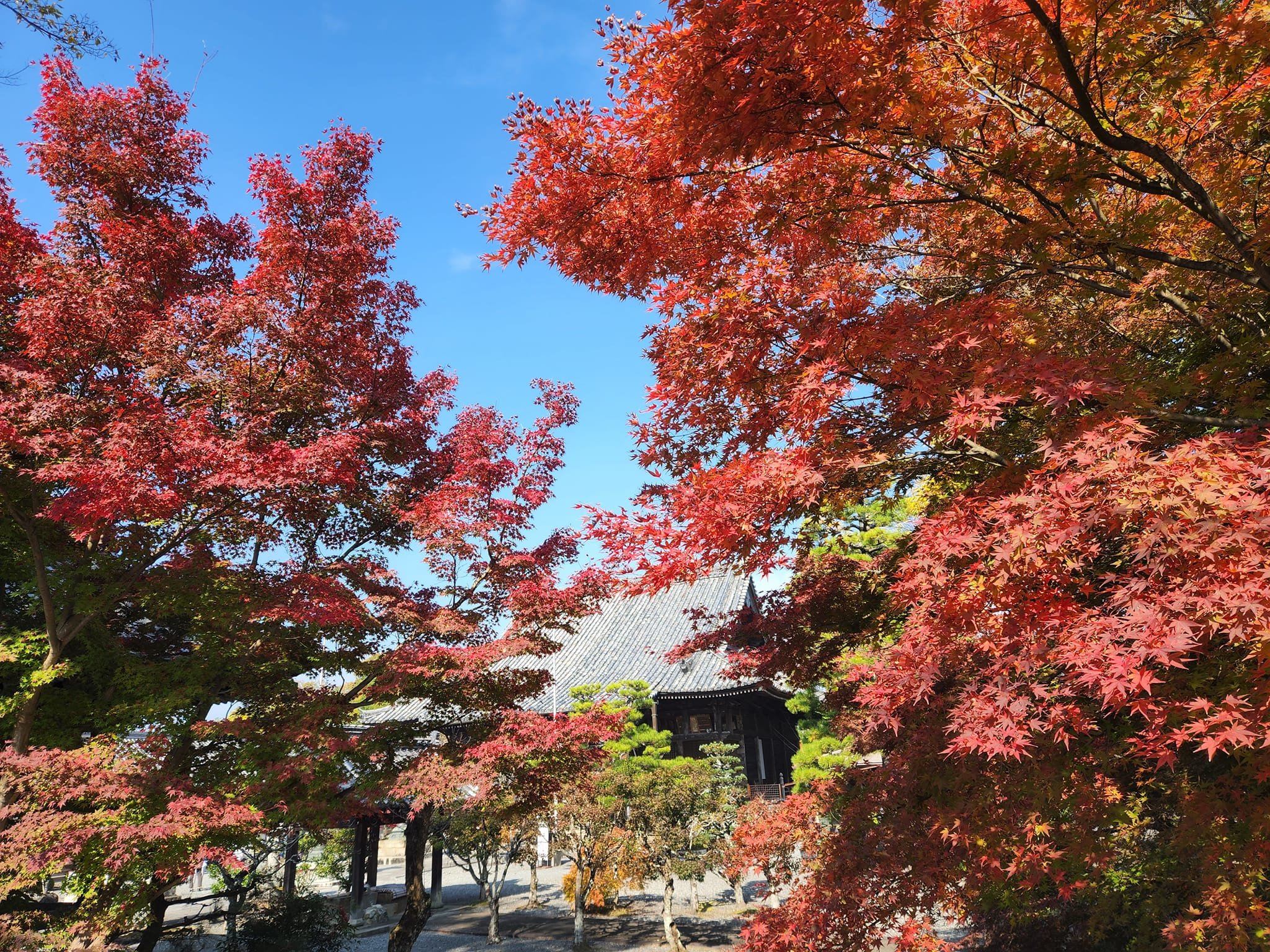 穴太寺