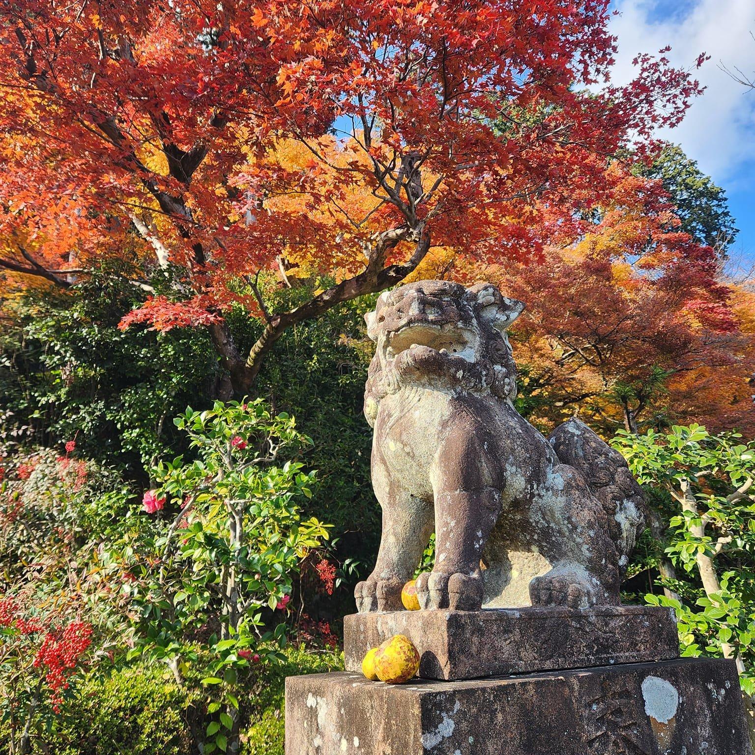 善峯寺