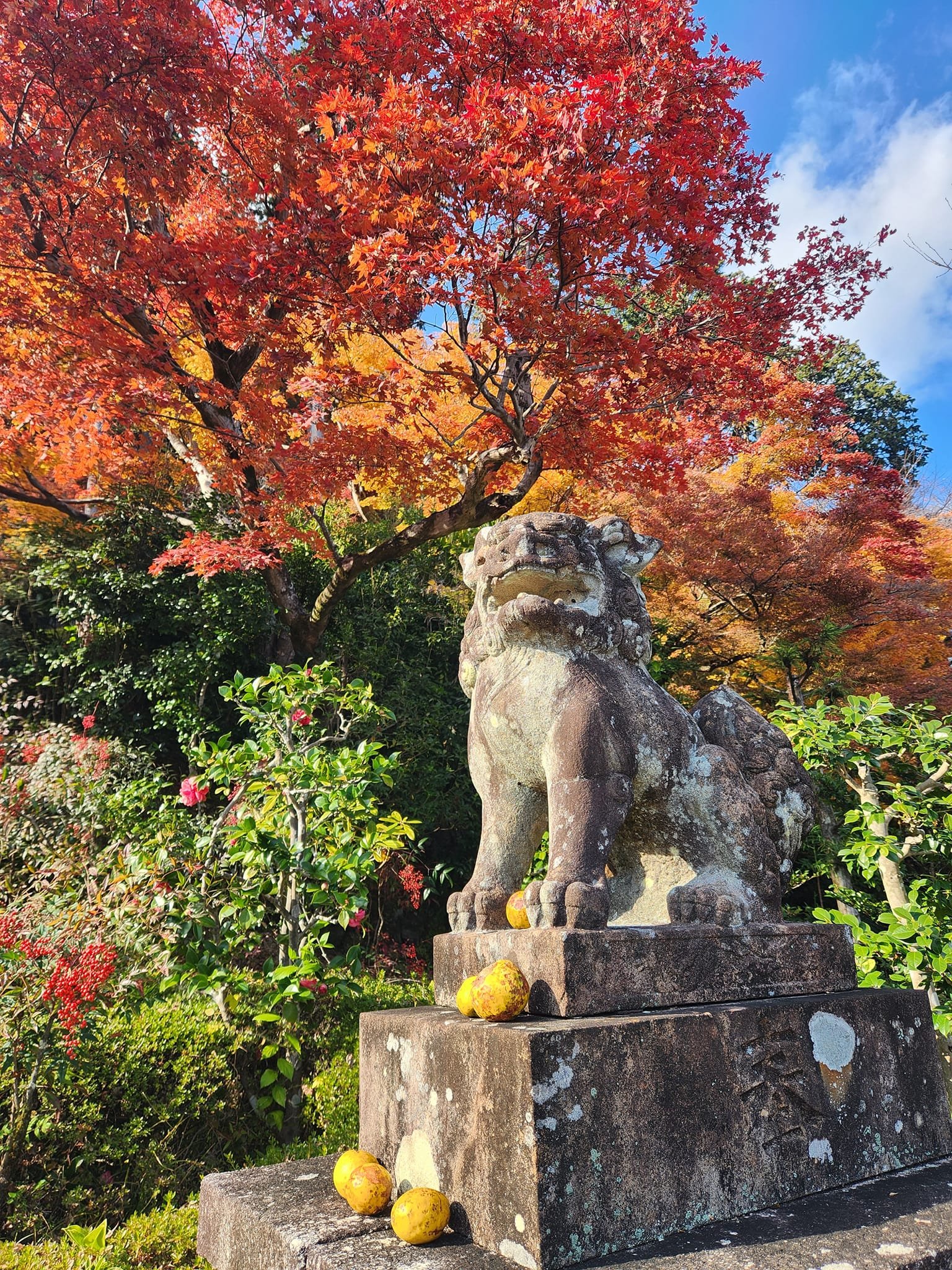善峯寺