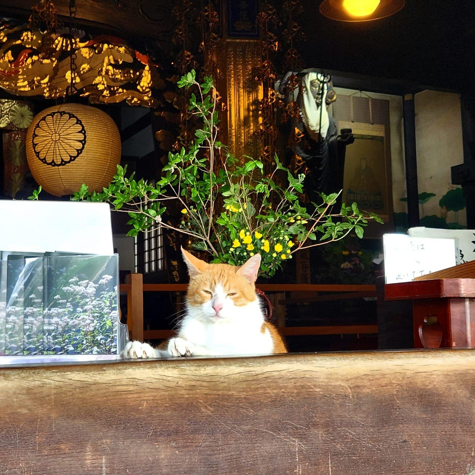 革堂　行願寺