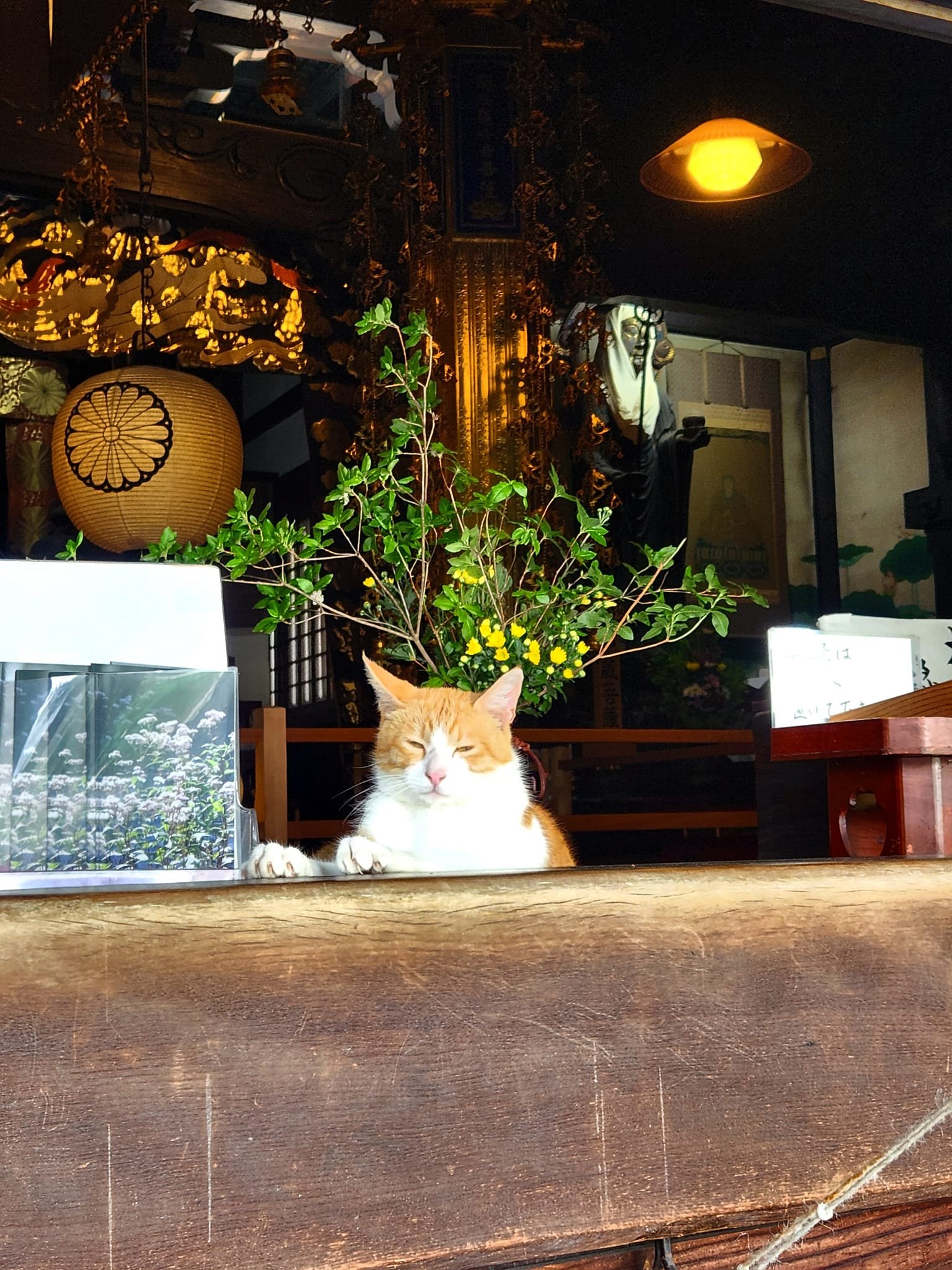 革堂　行願寺