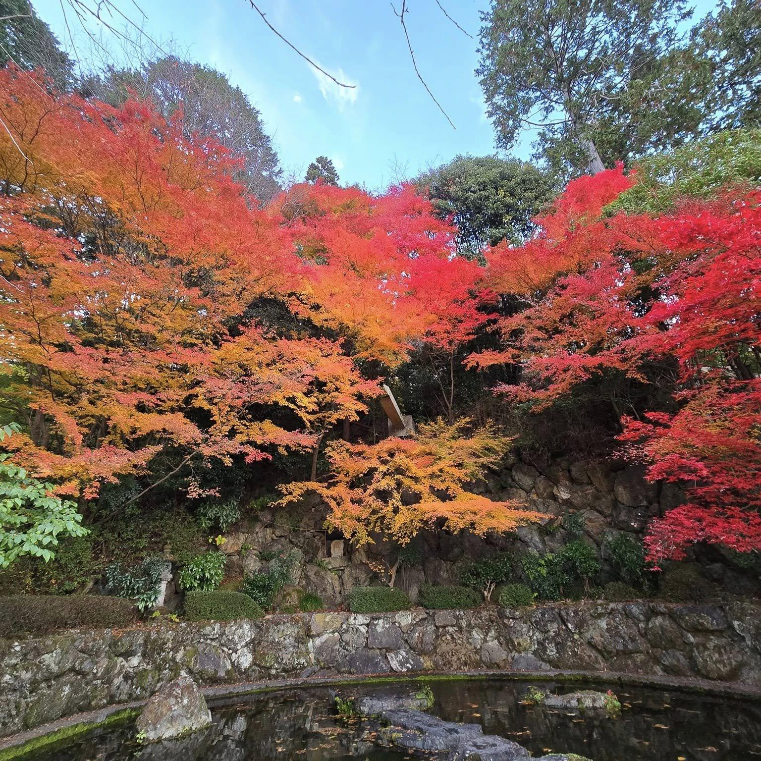 善峯寺