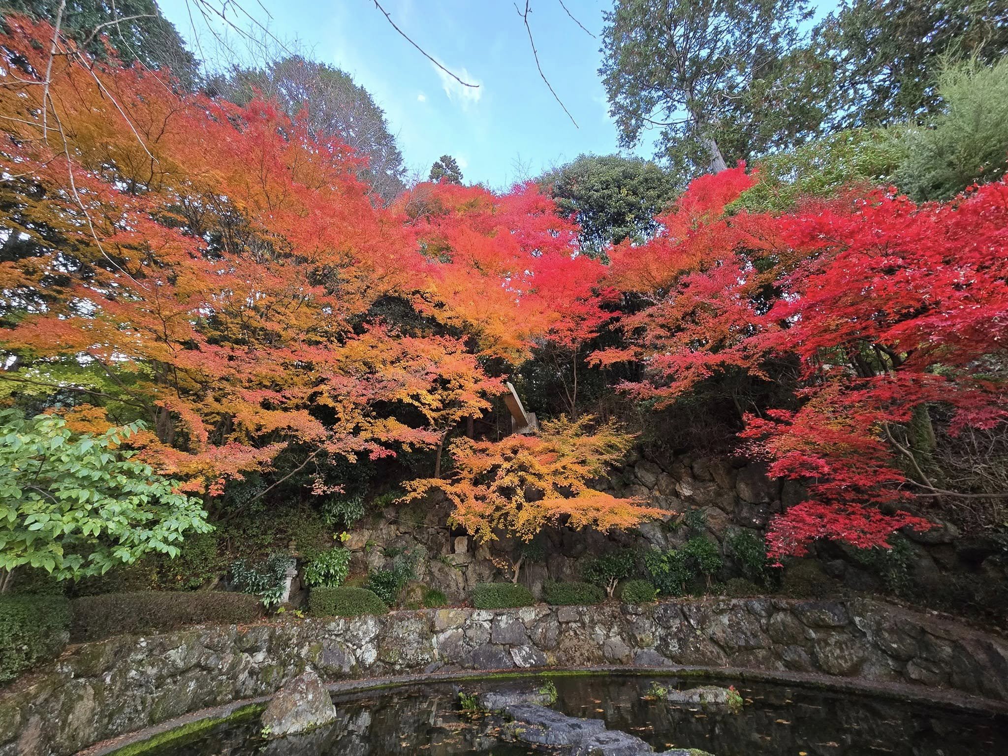 善峯寺
