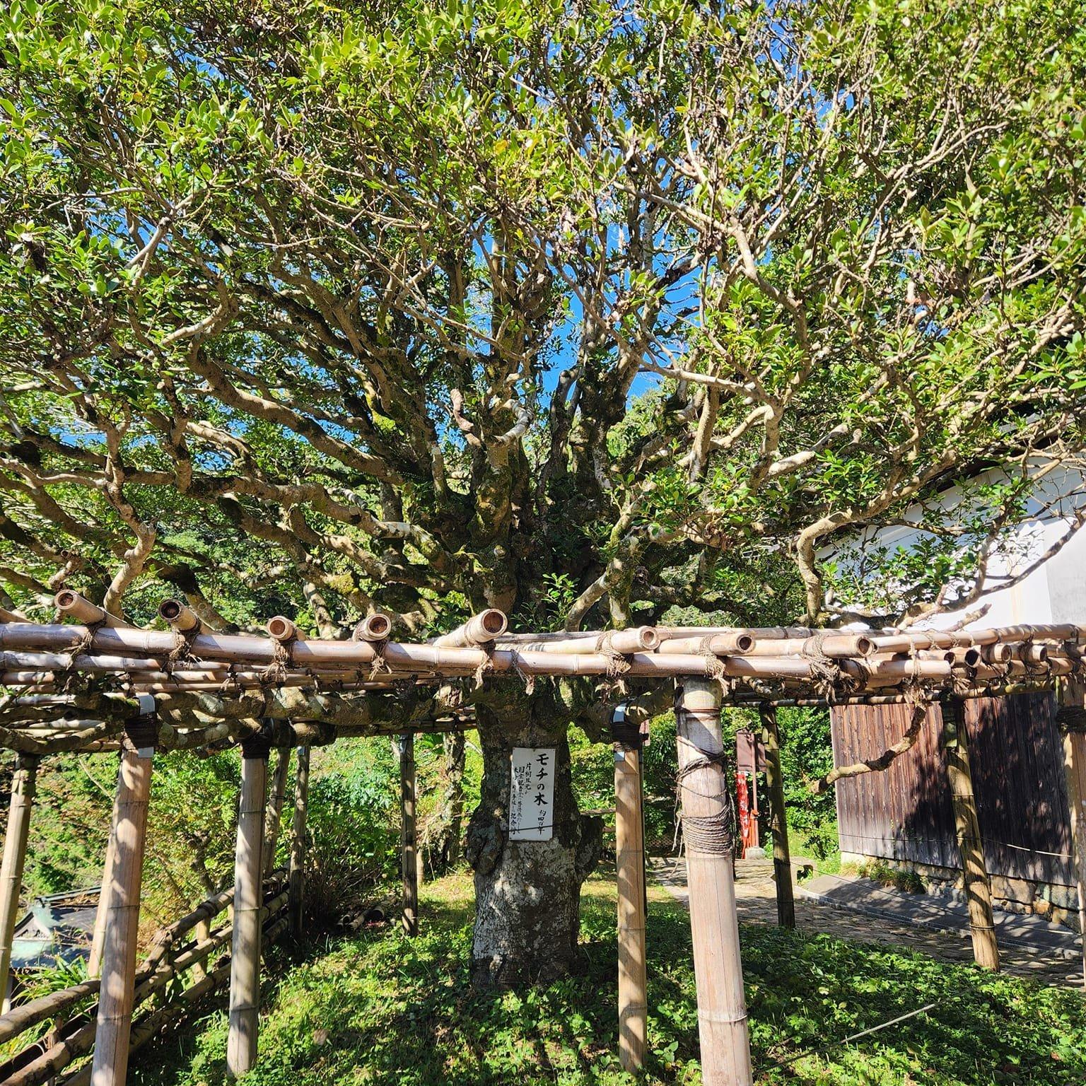 宝厳寺