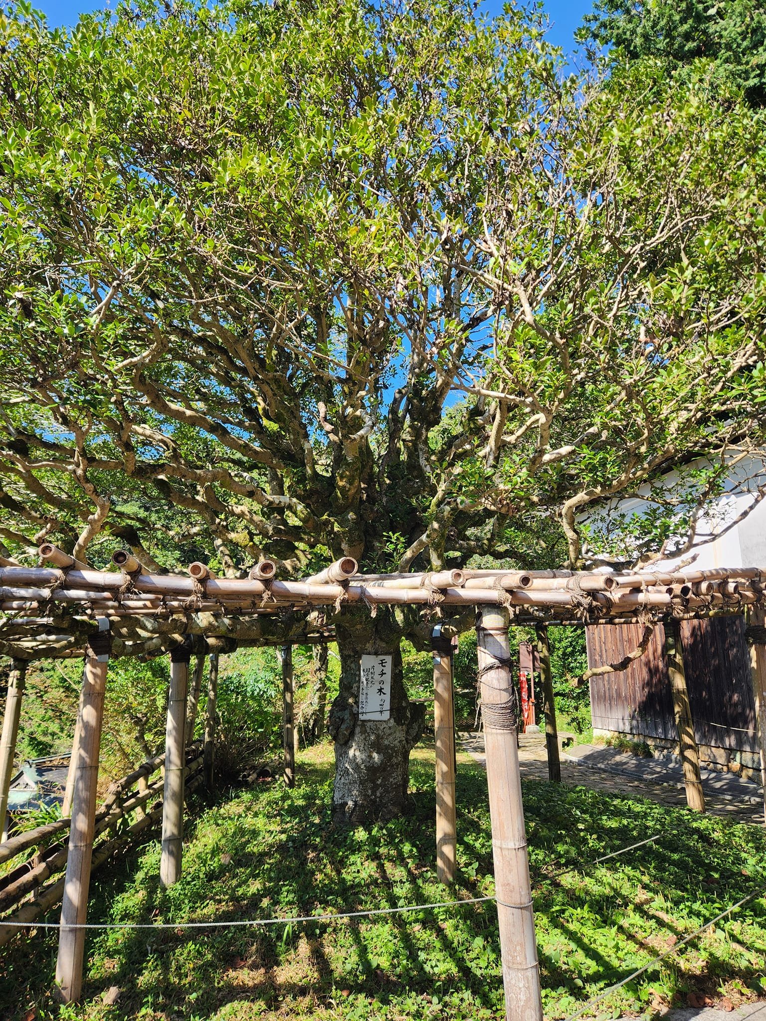 宝厳寺