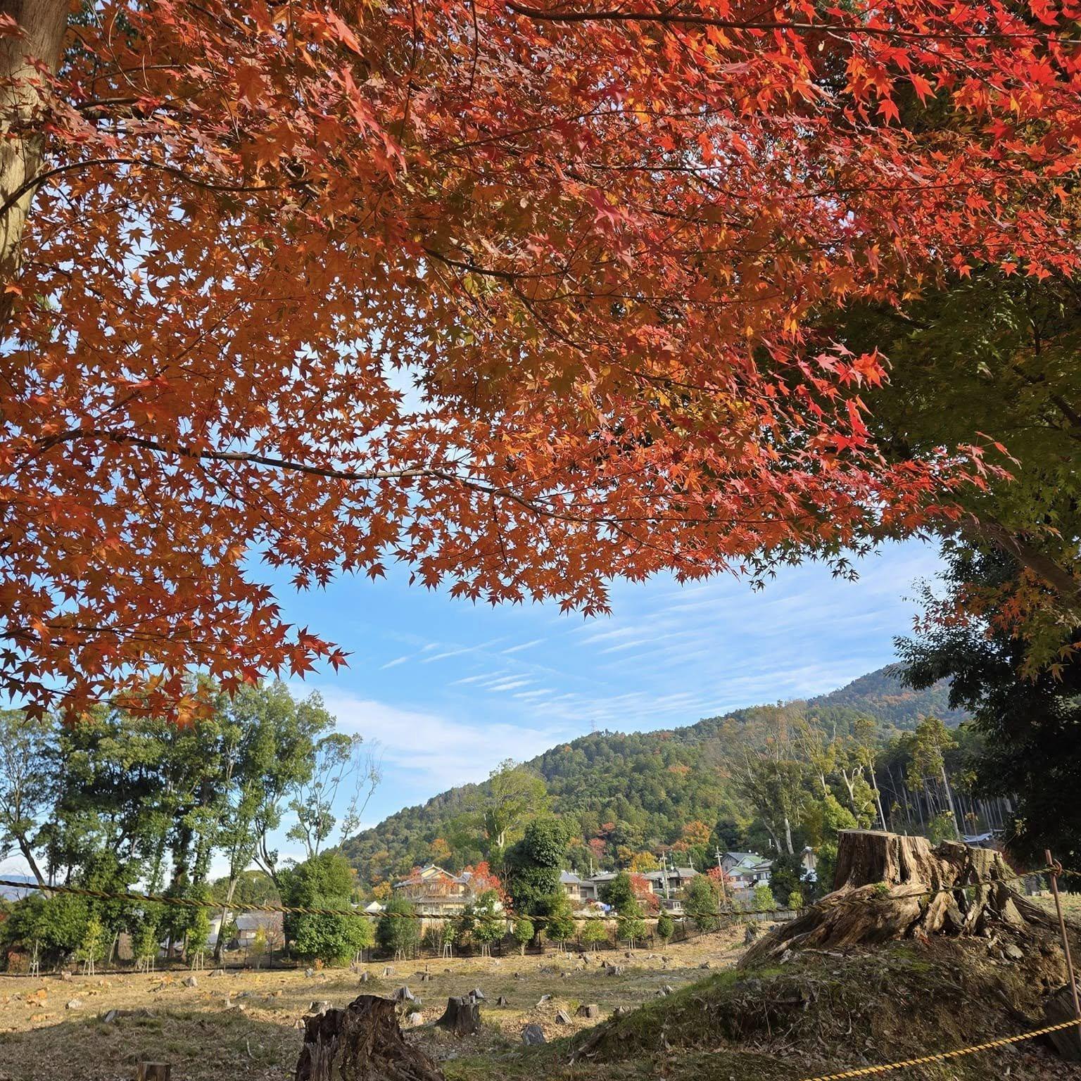 醍醐寺