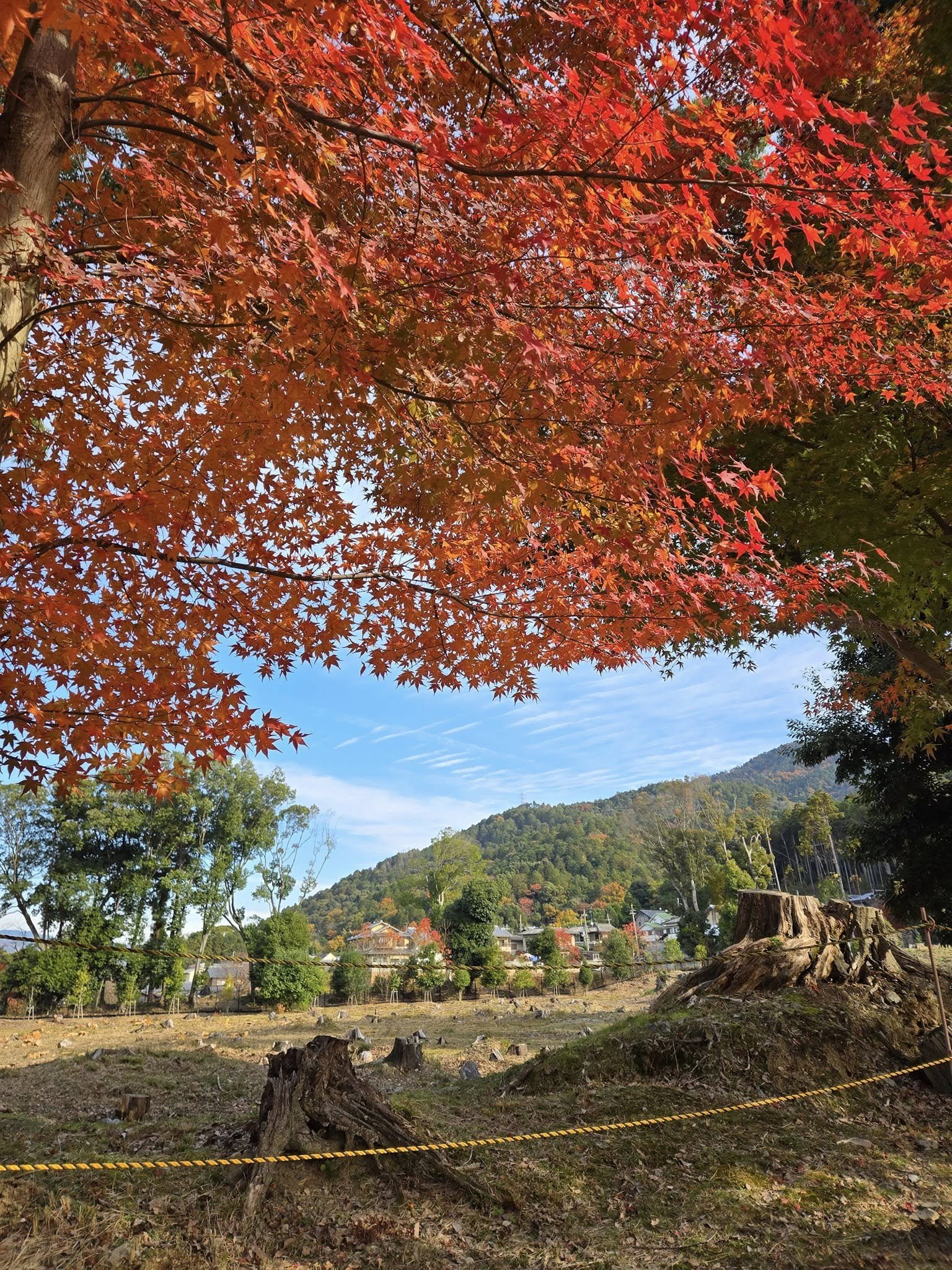 醍醐寺