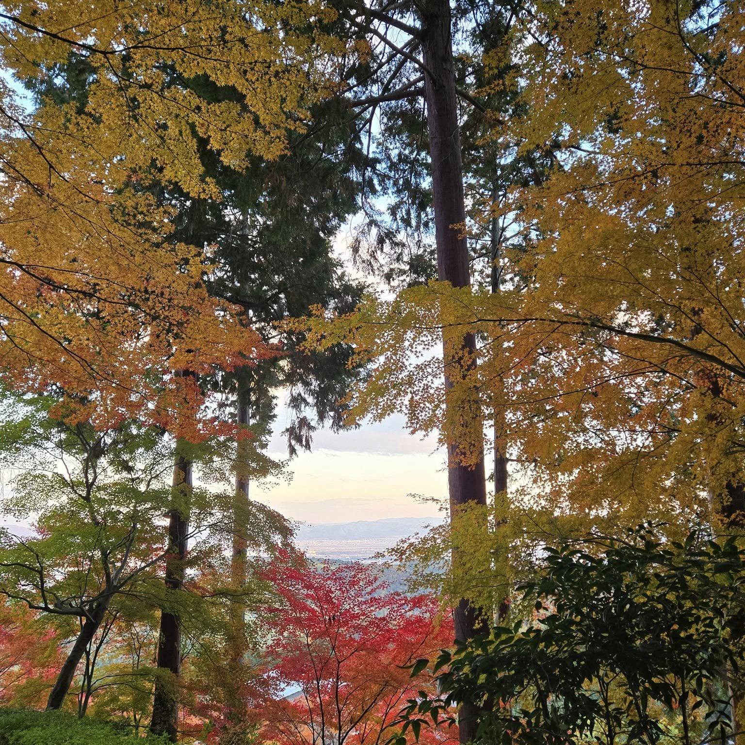 善峯寺