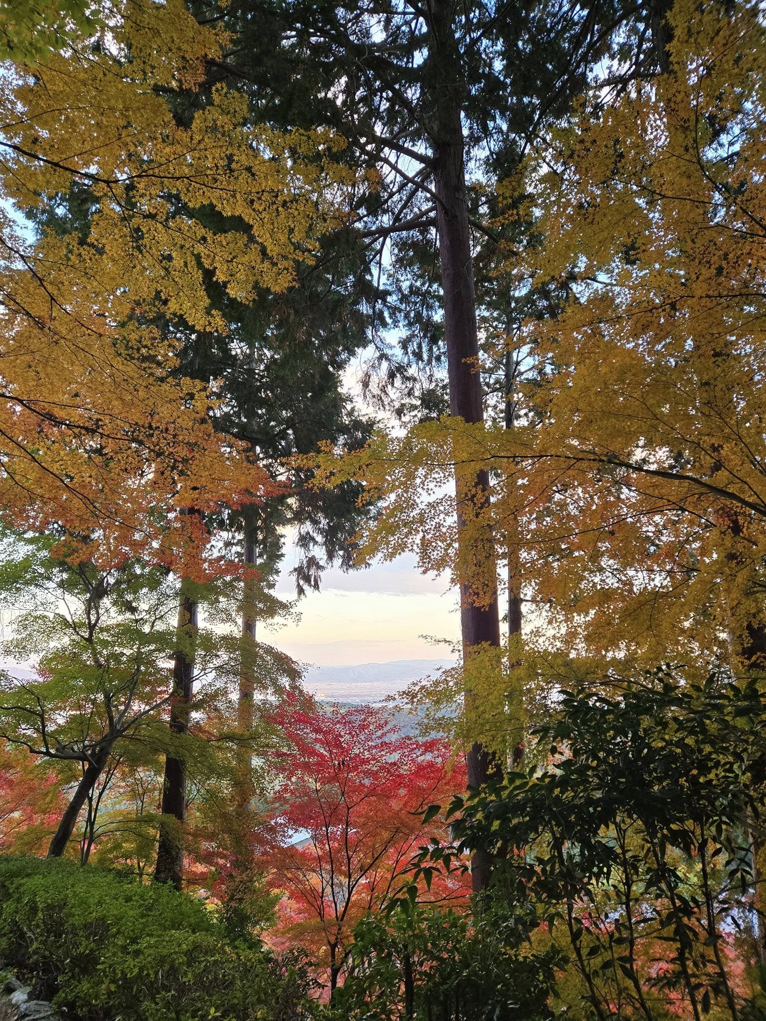善峯寺
