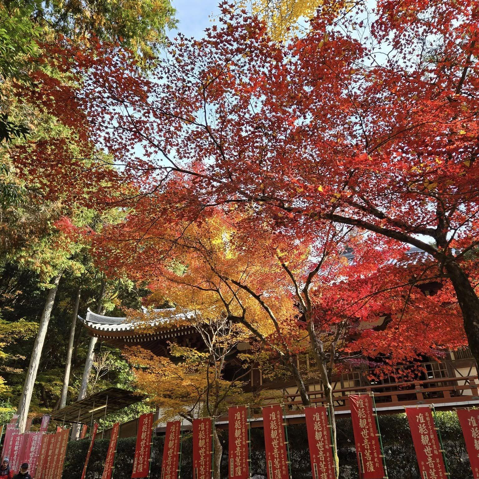醍醐寺
