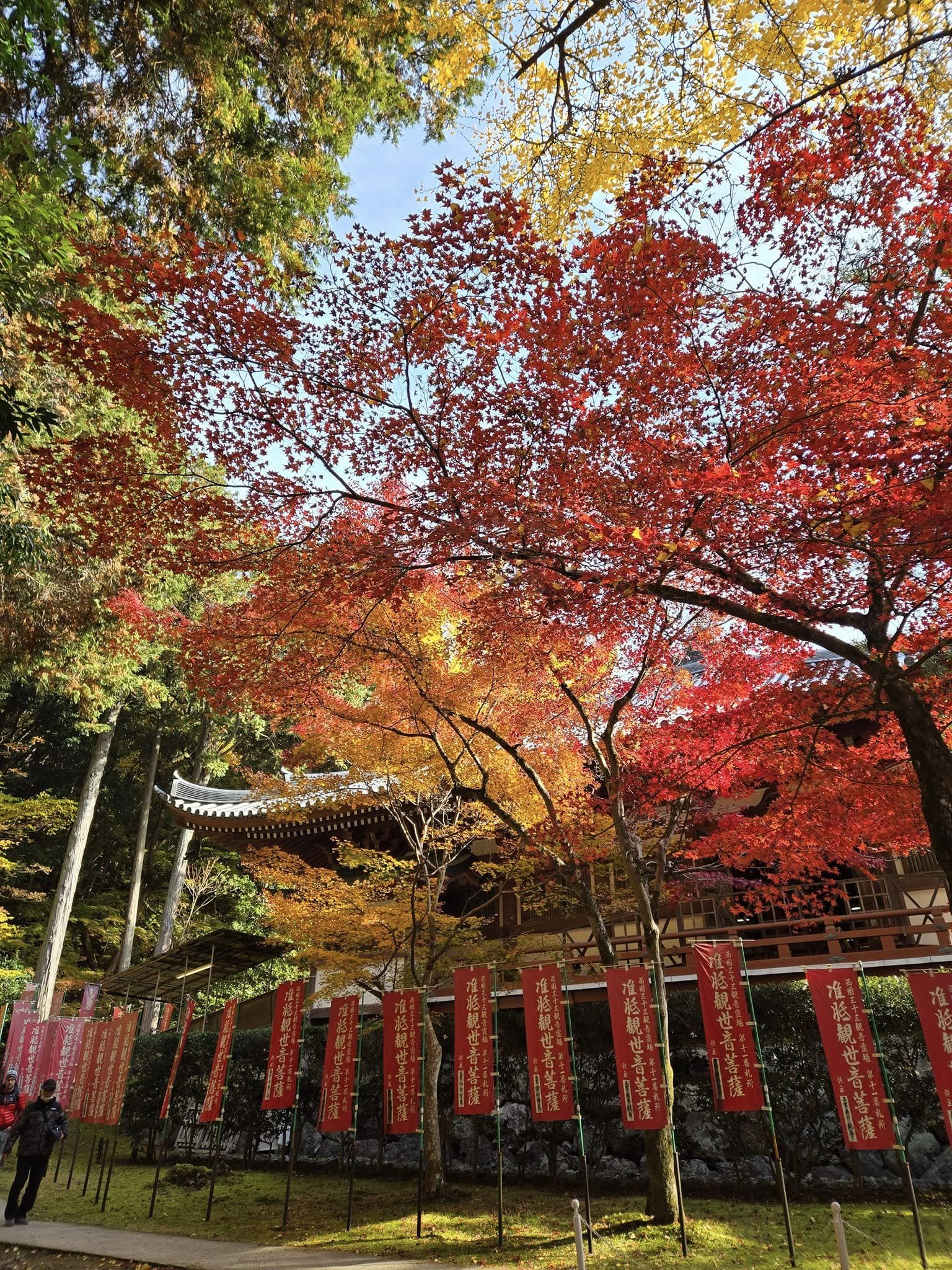 醍醐寺