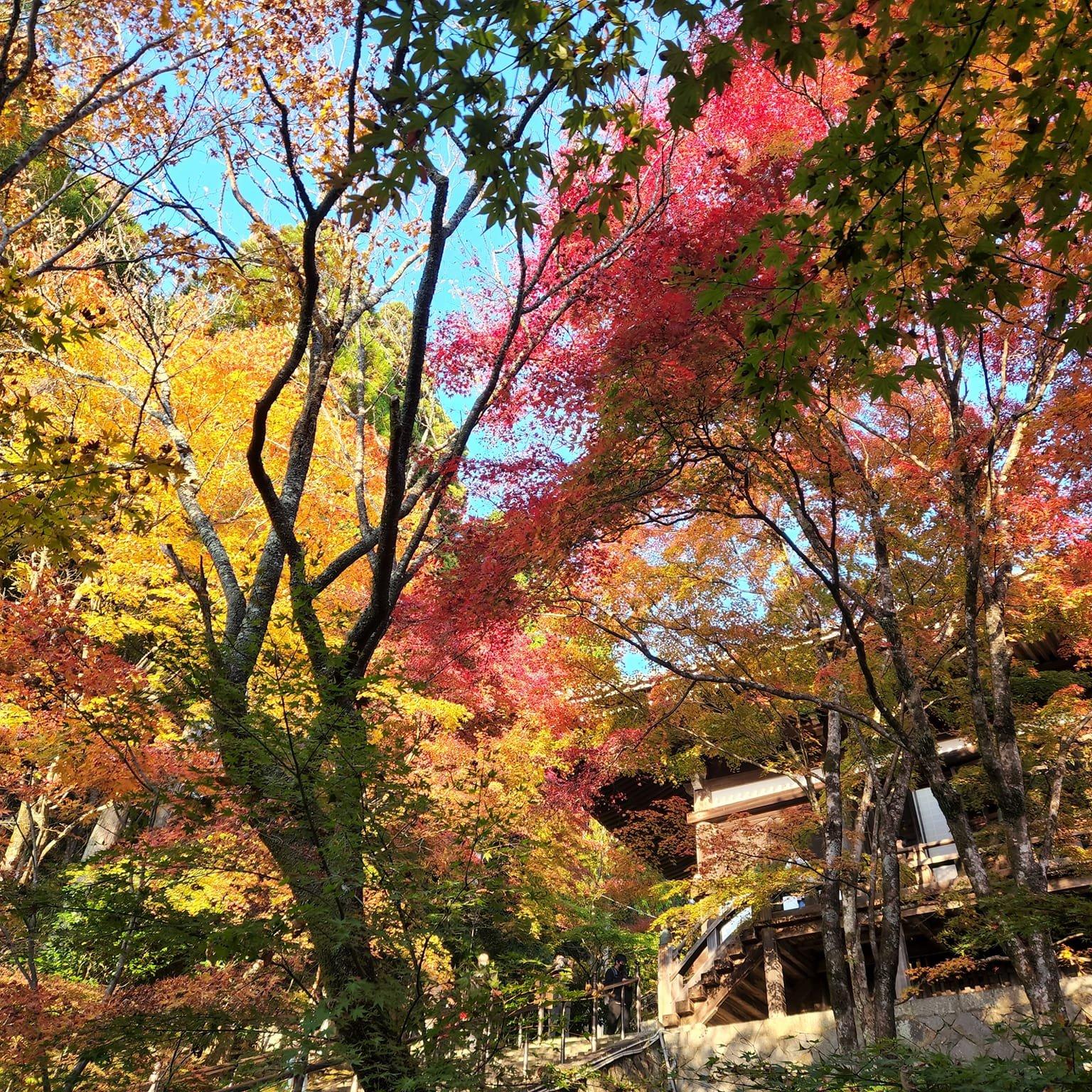 播州清水寺