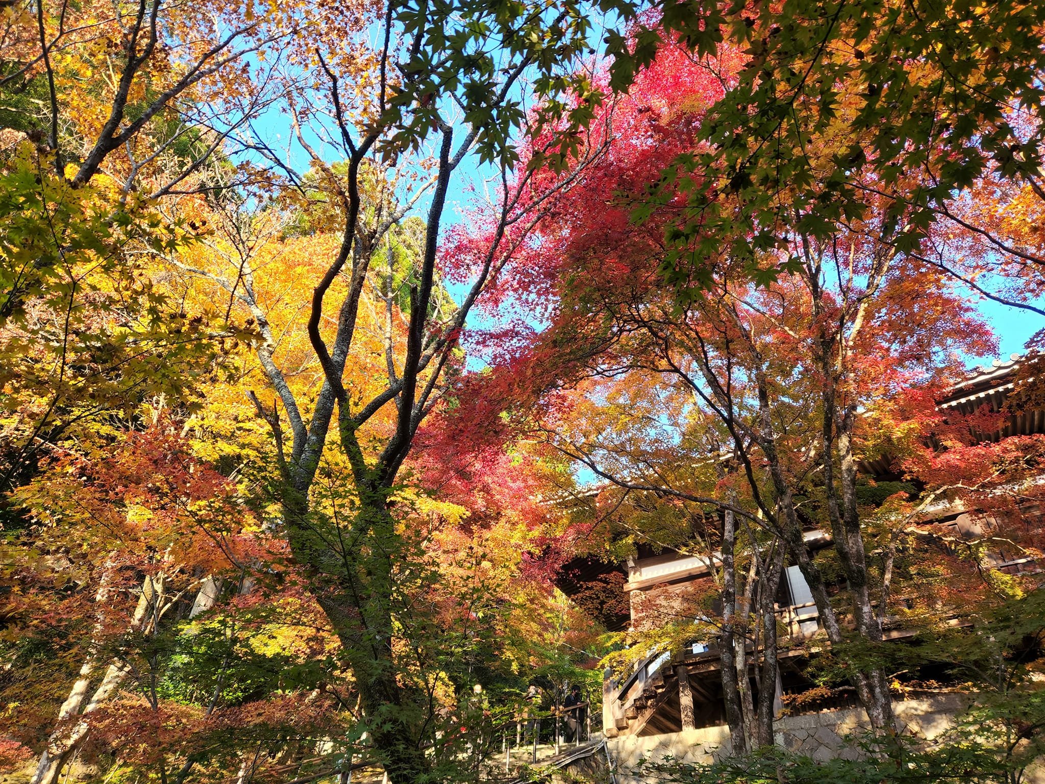 播州清水寺