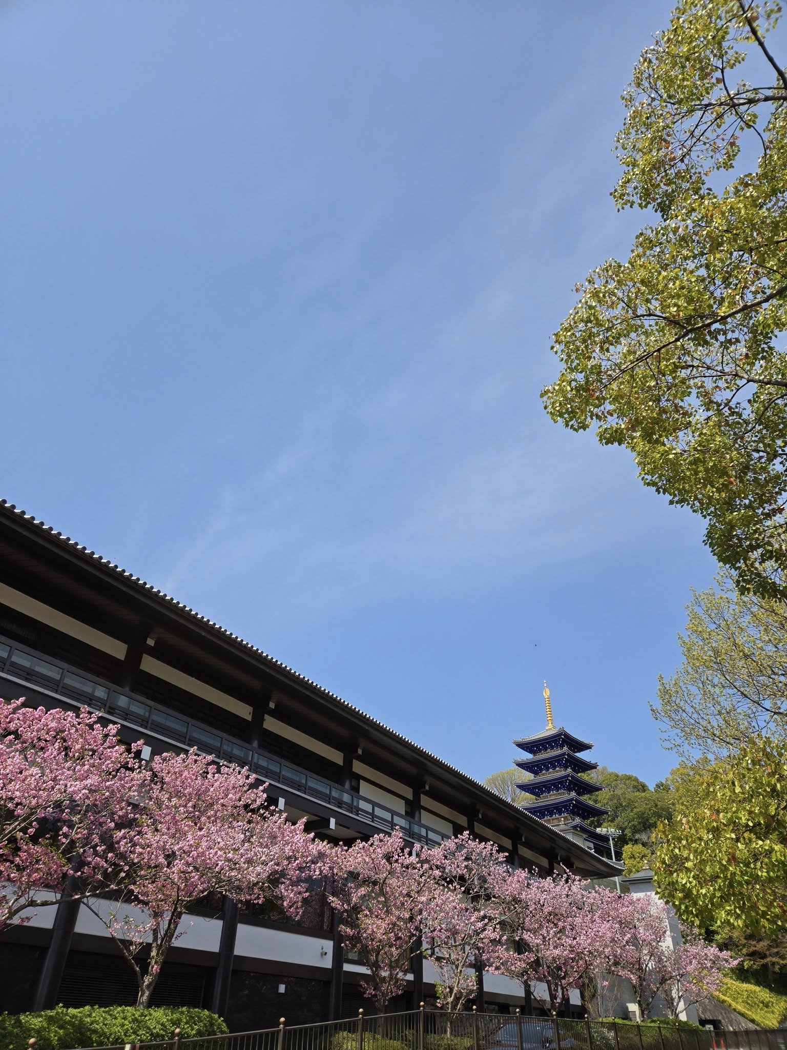 中山寺