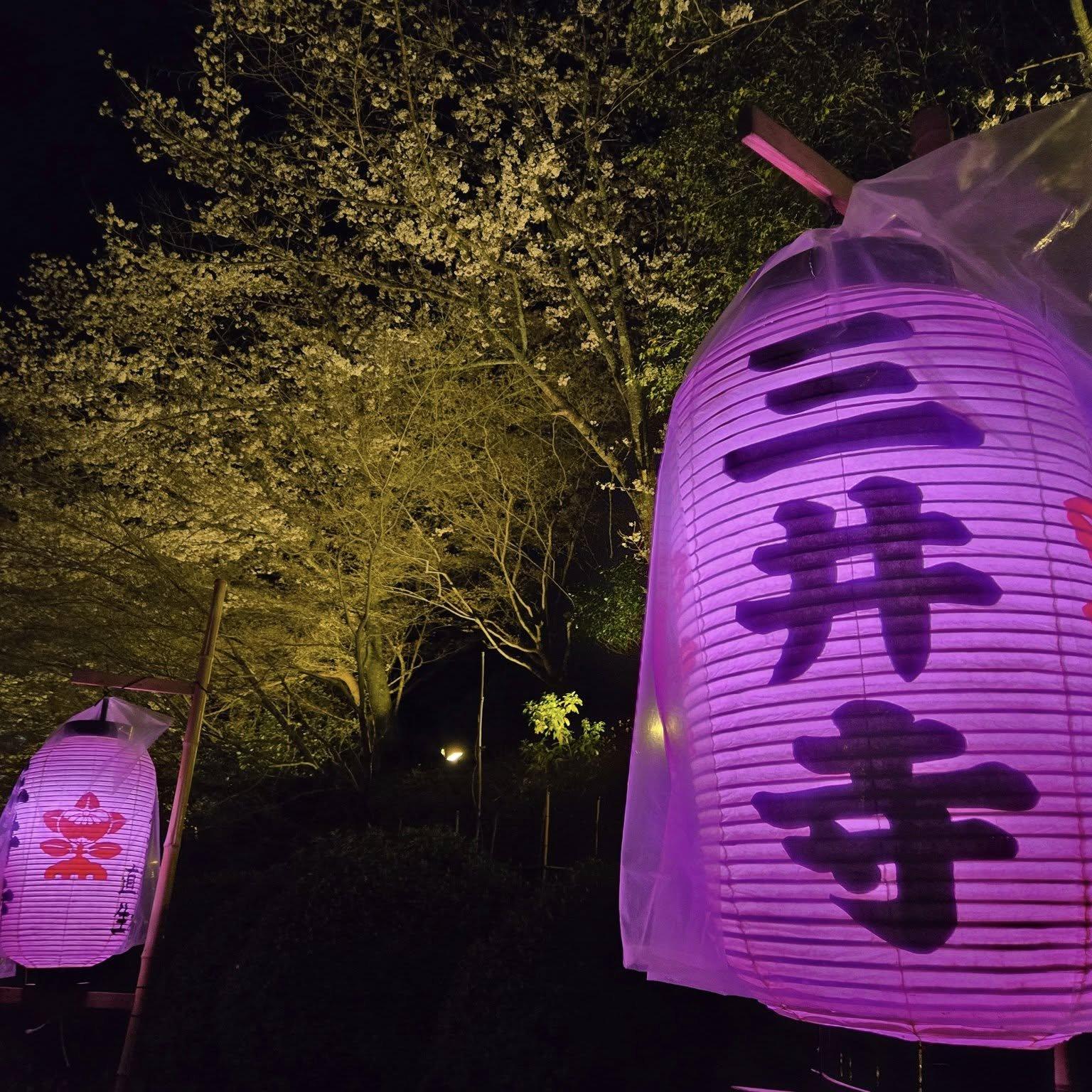 三井寺