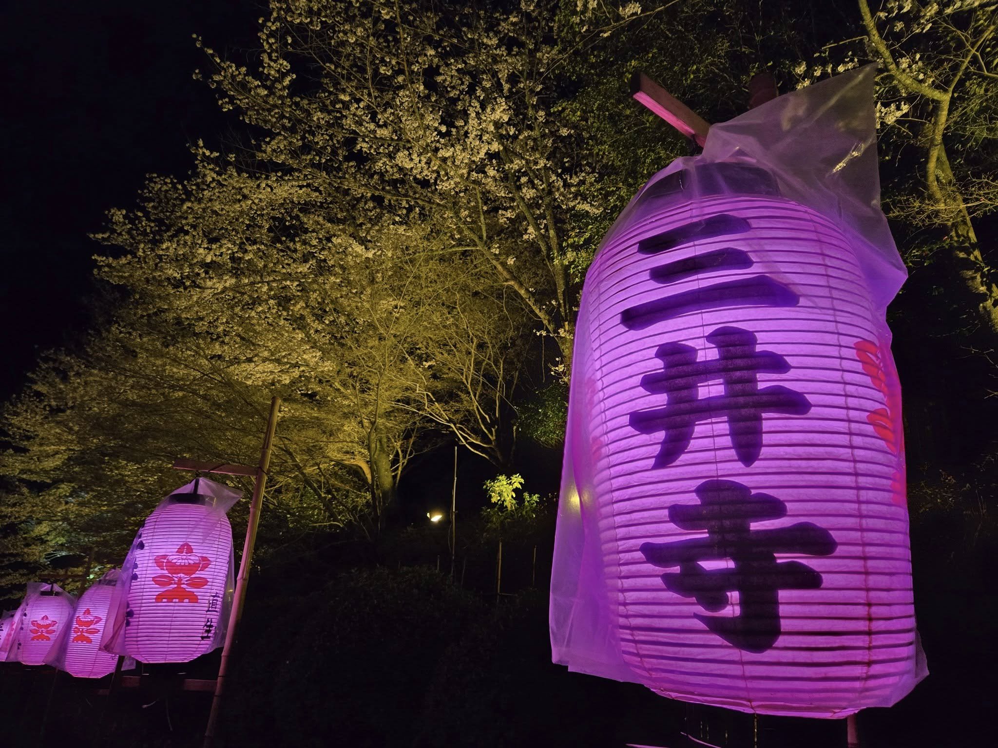 三井寺