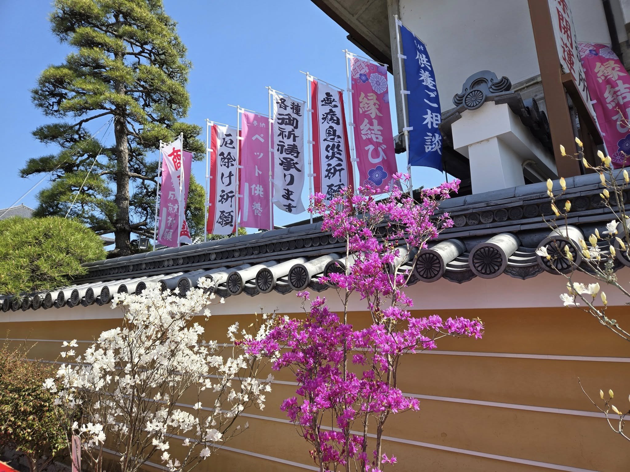 中山寺