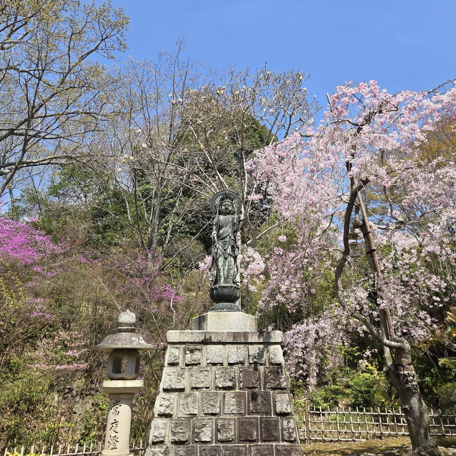中山寺