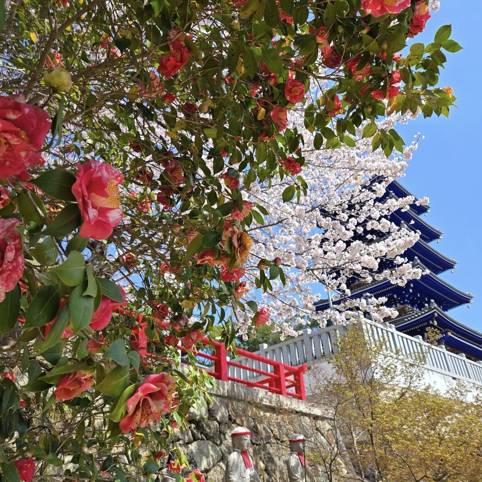 中山寺