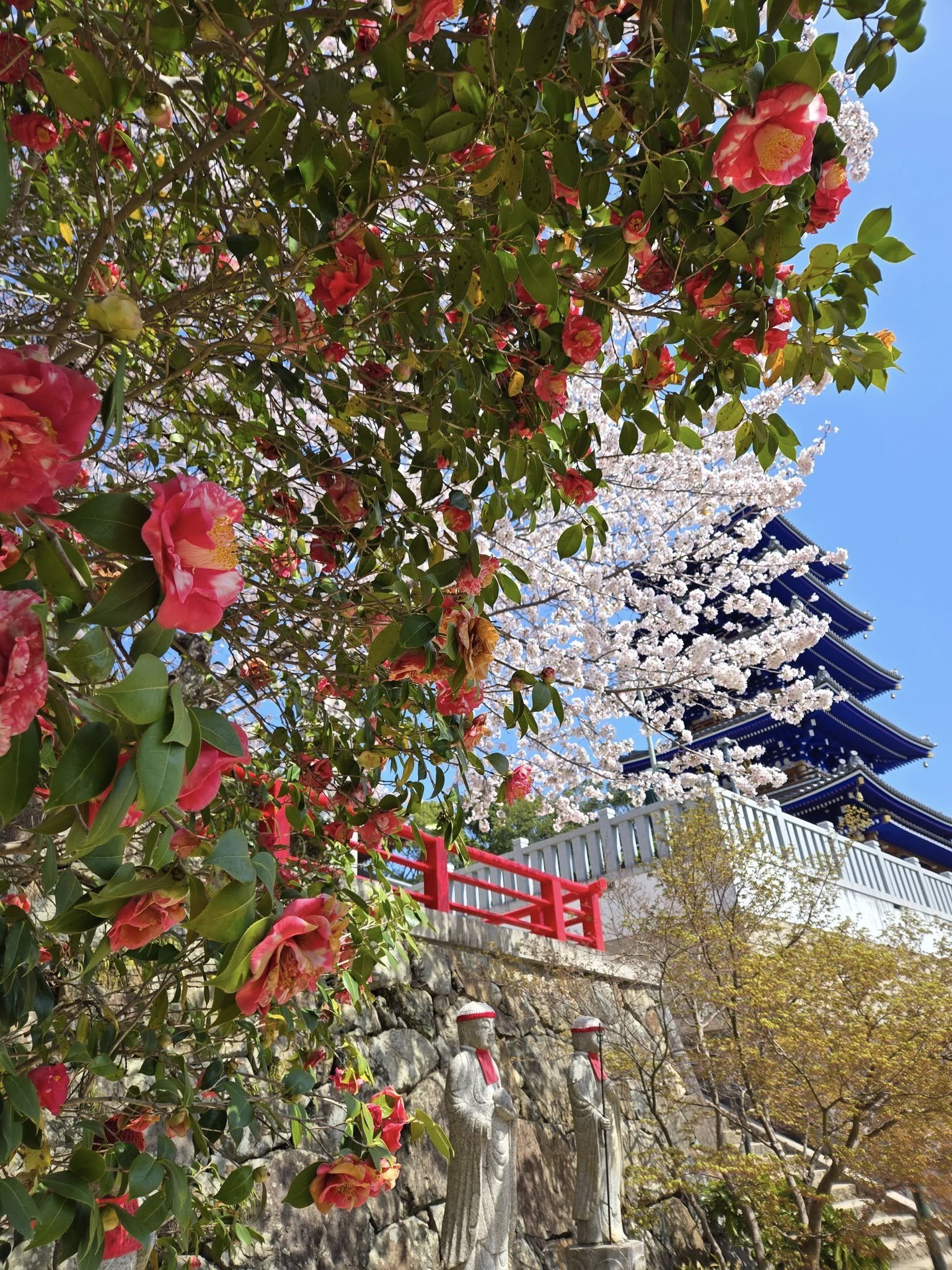 中山寺