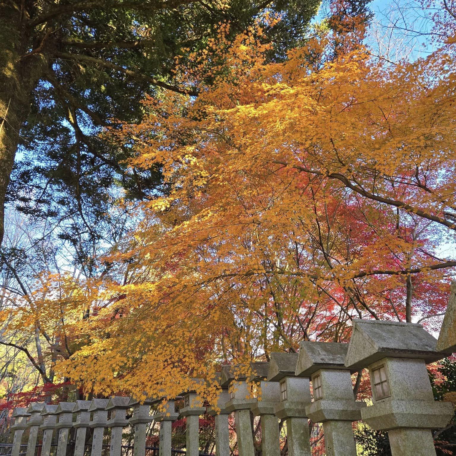 岩間寺