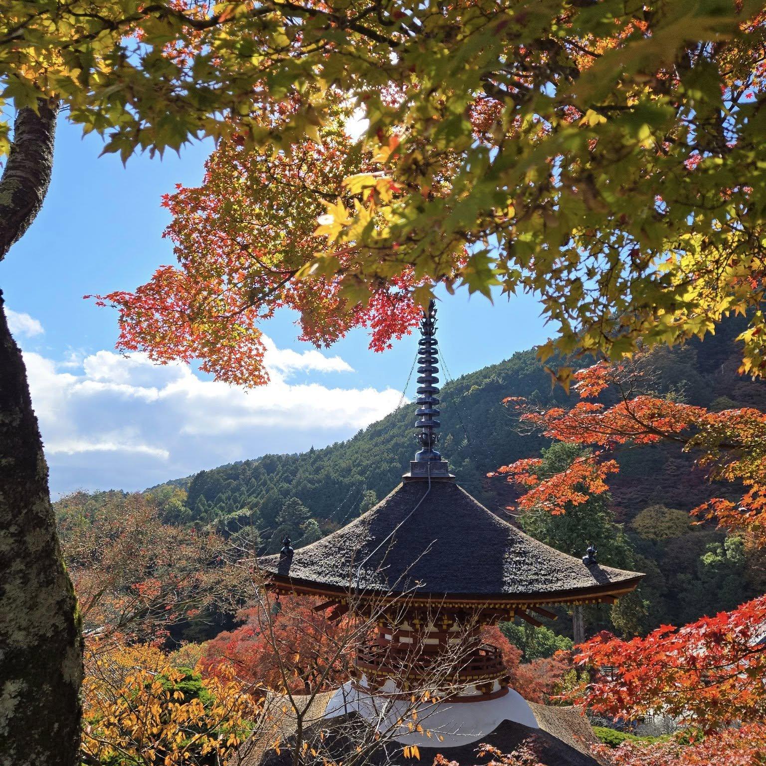 善峯寺