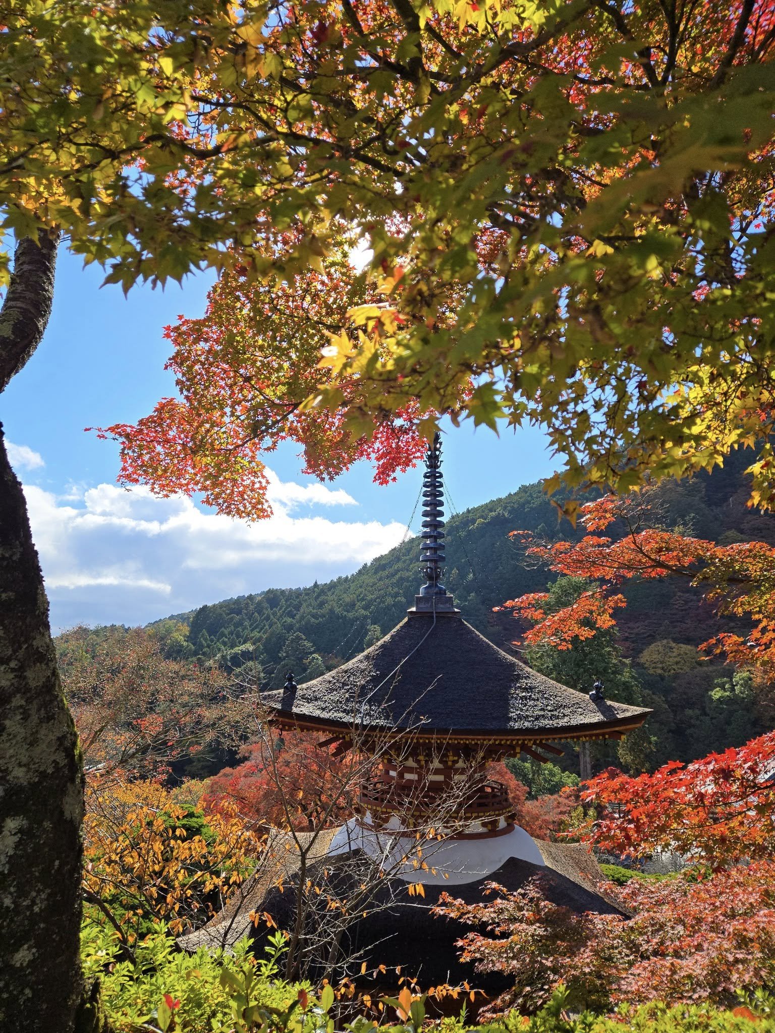 善峯寺