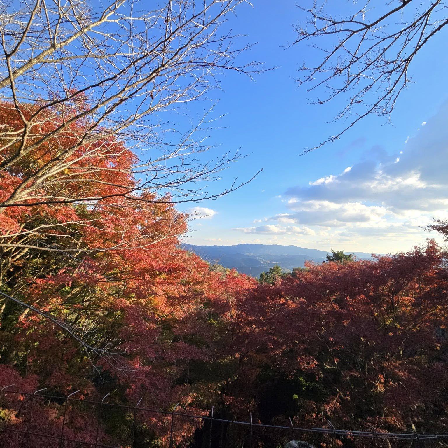 岩間寺