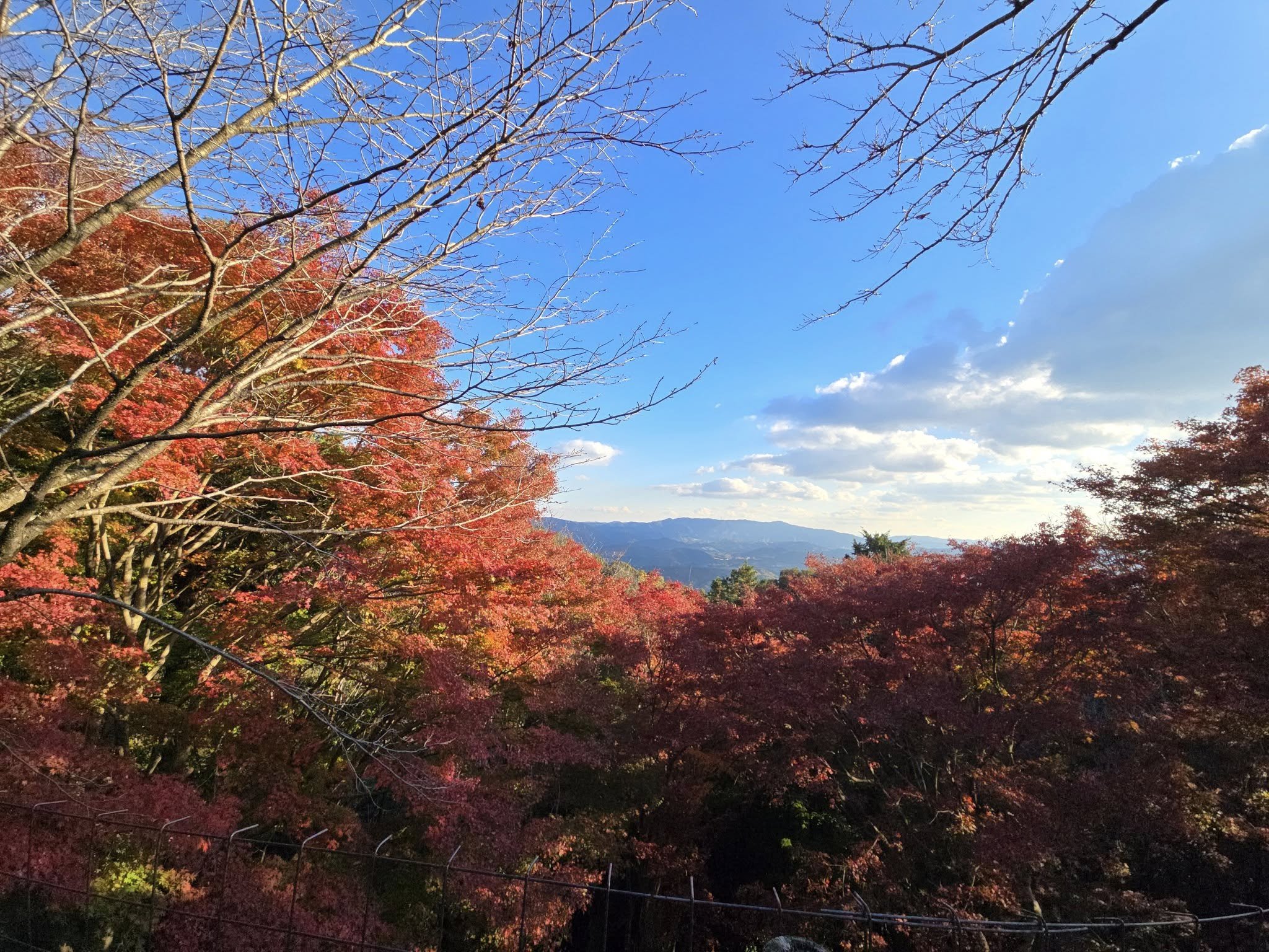 岩間寺