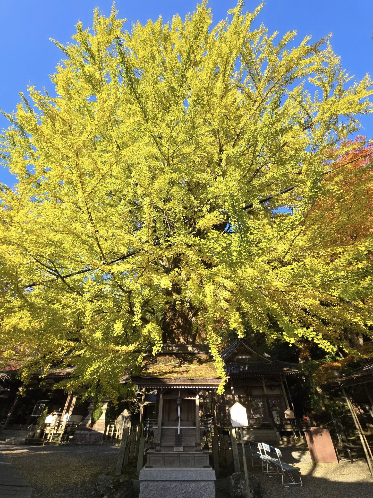岩間寺
