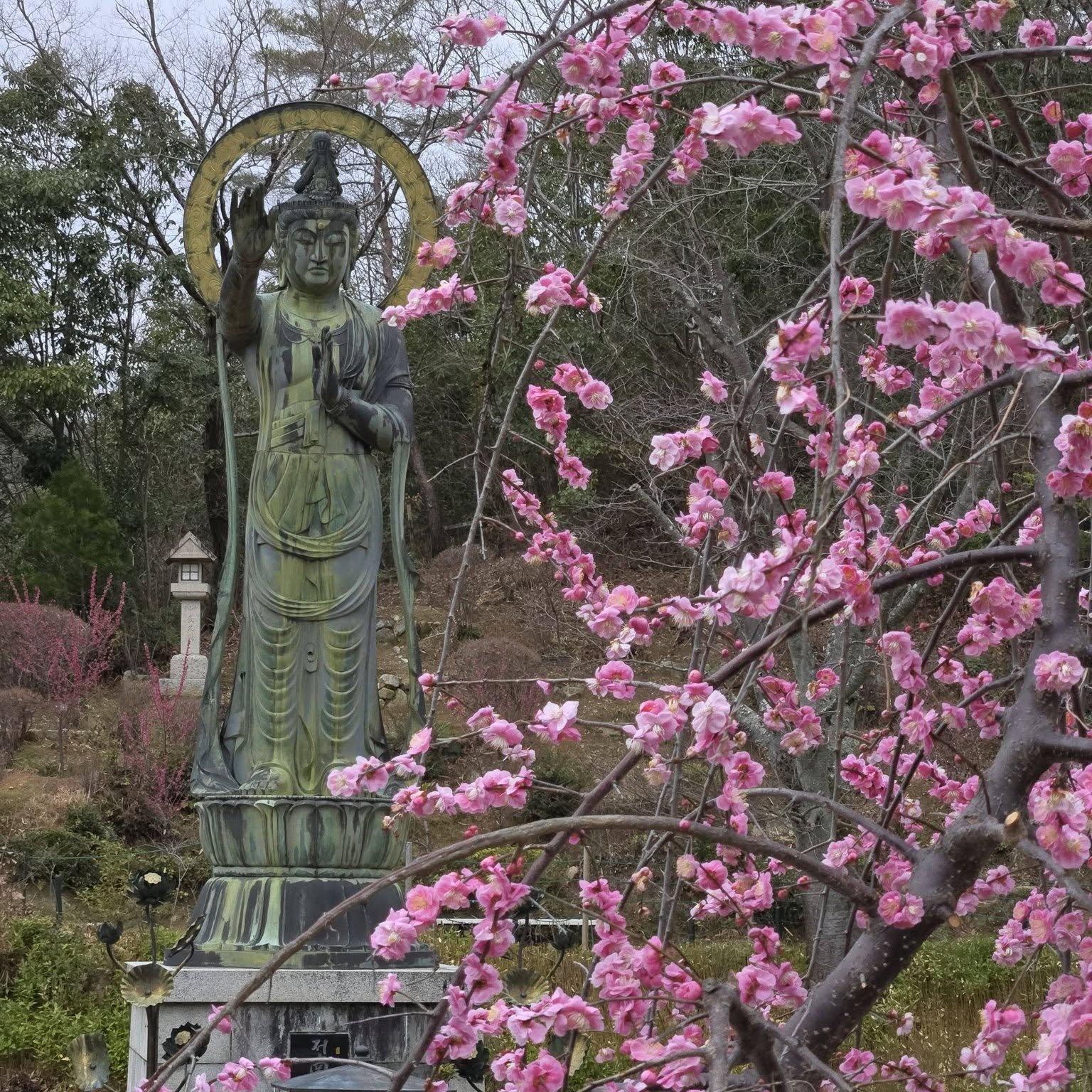 中山寺