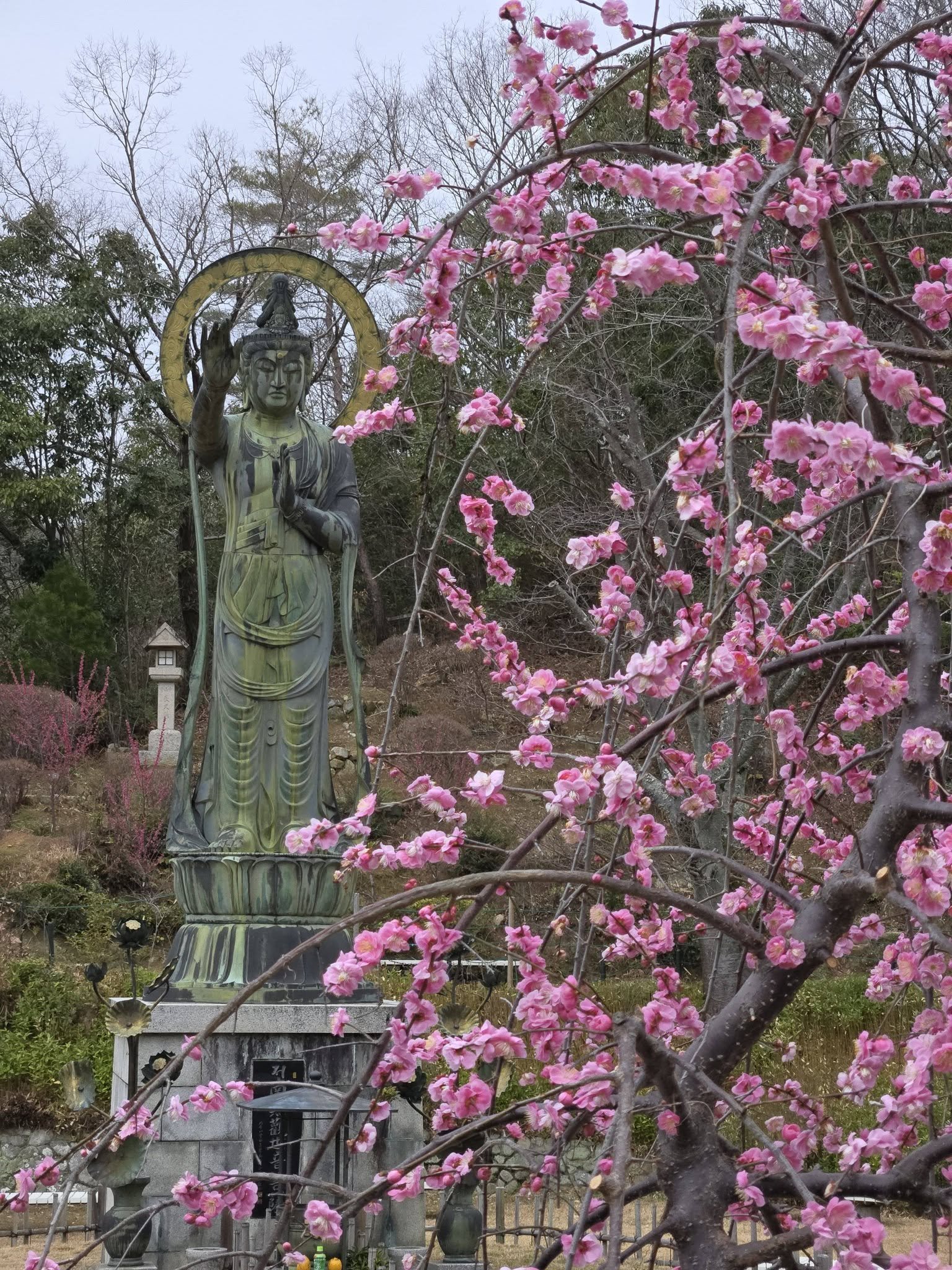 中山寺