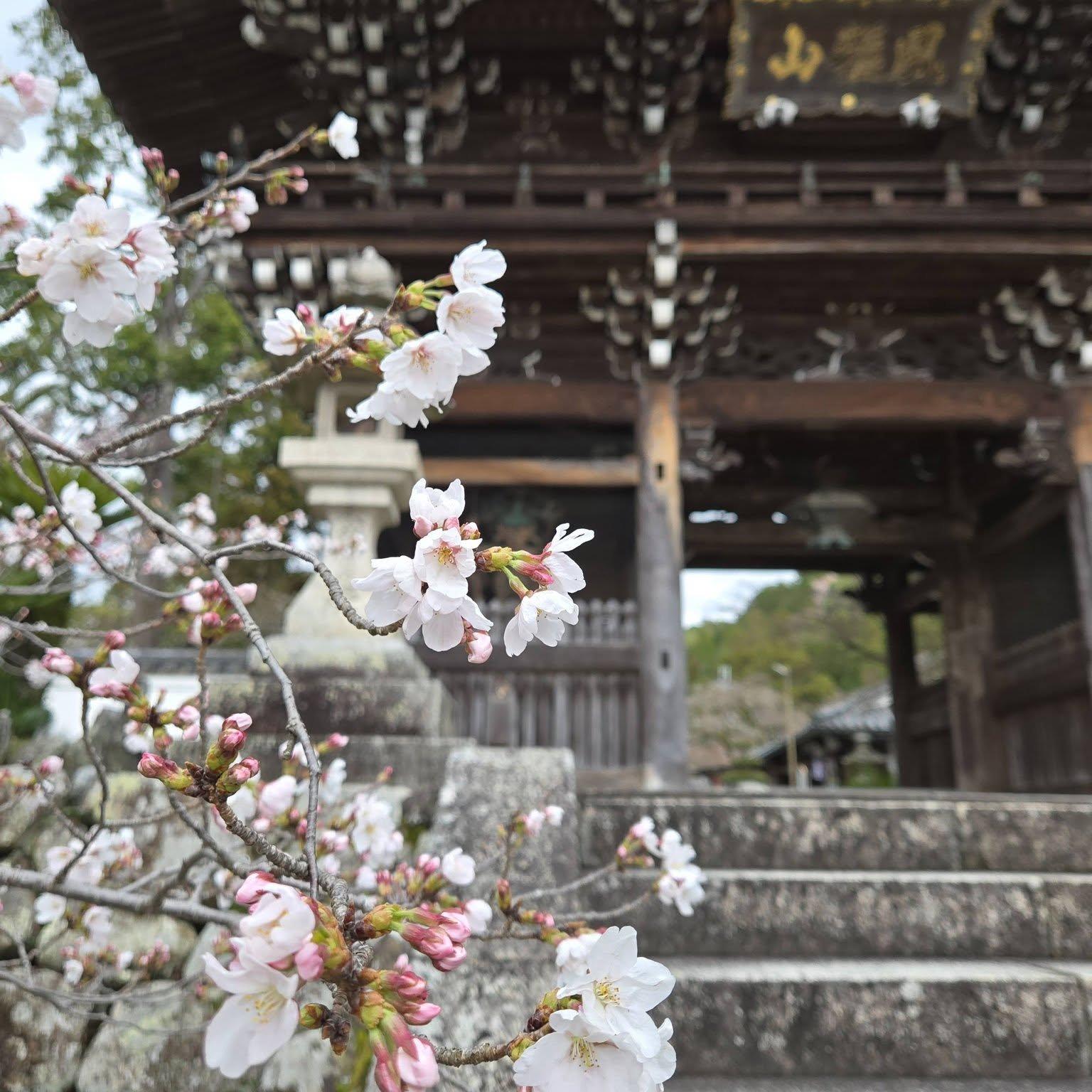 粉河寺