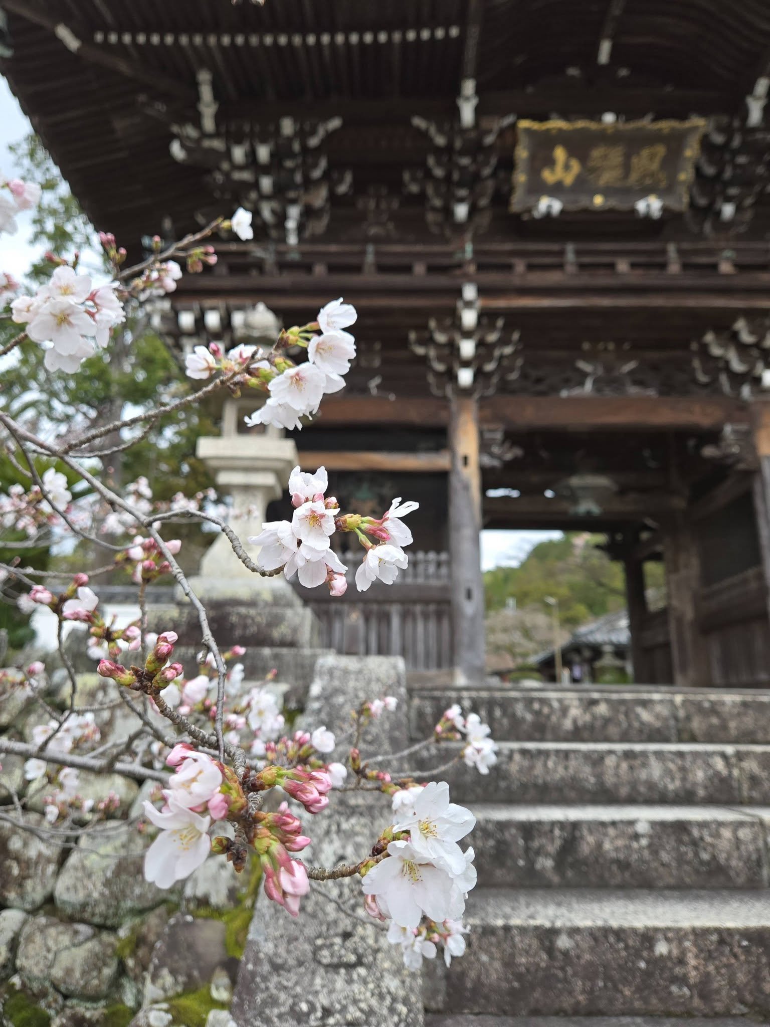 粉河寺