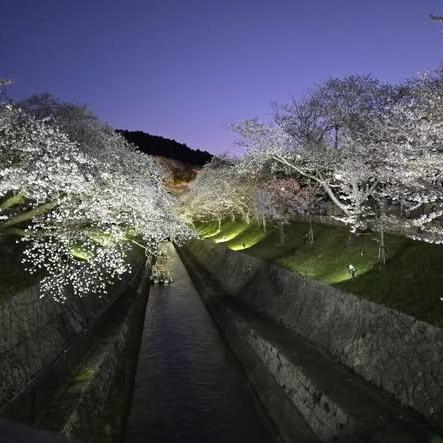 三井寺