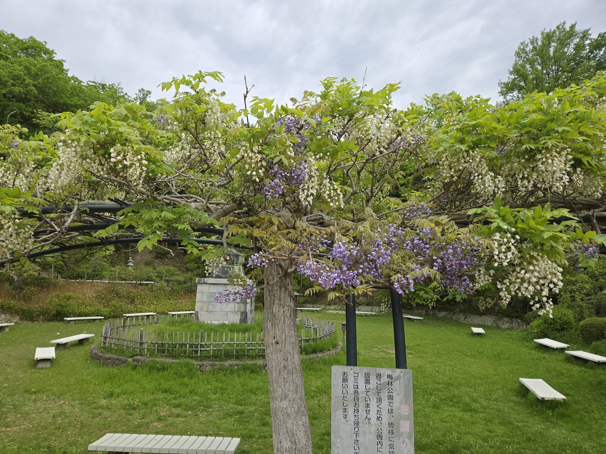 中山寺