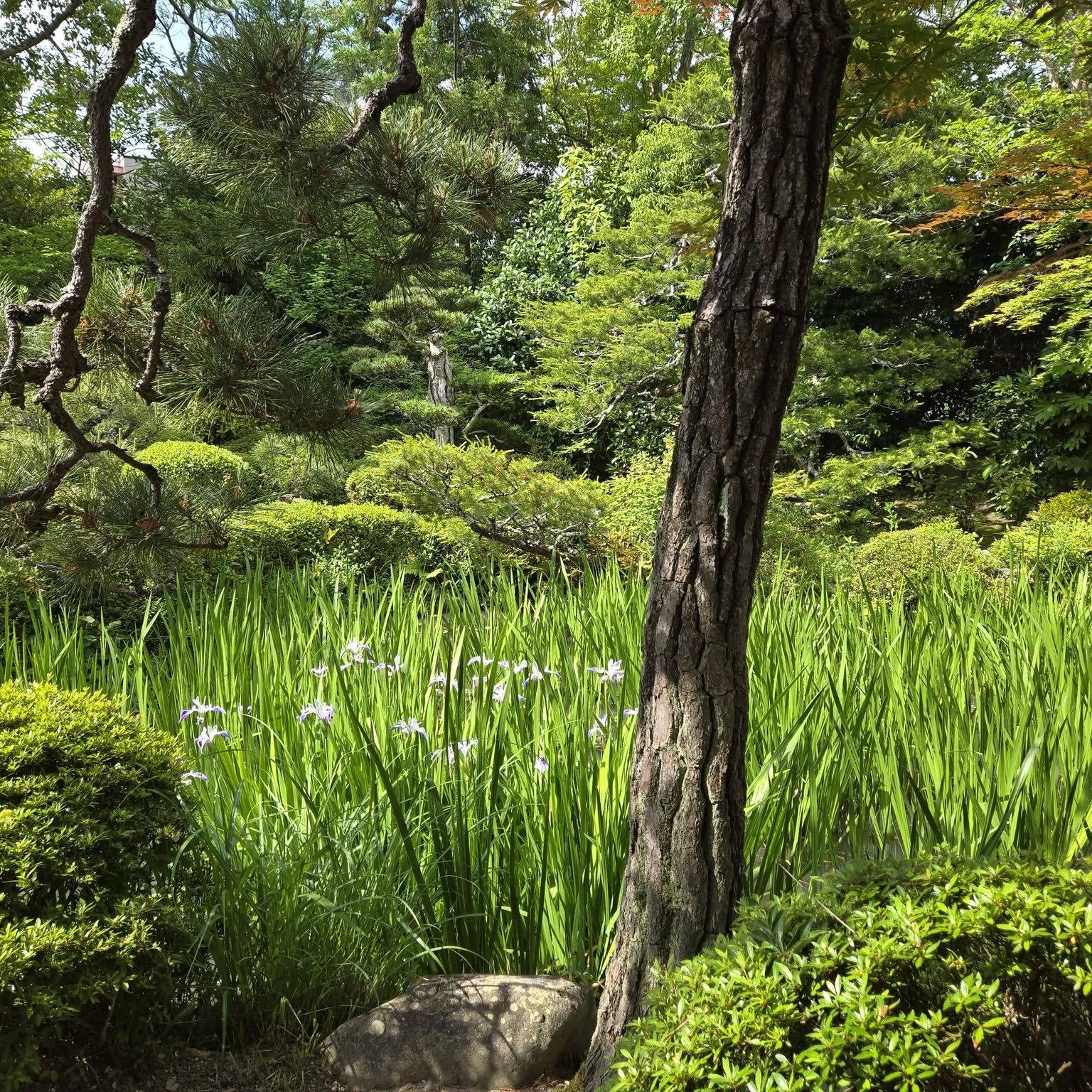 穴太寺