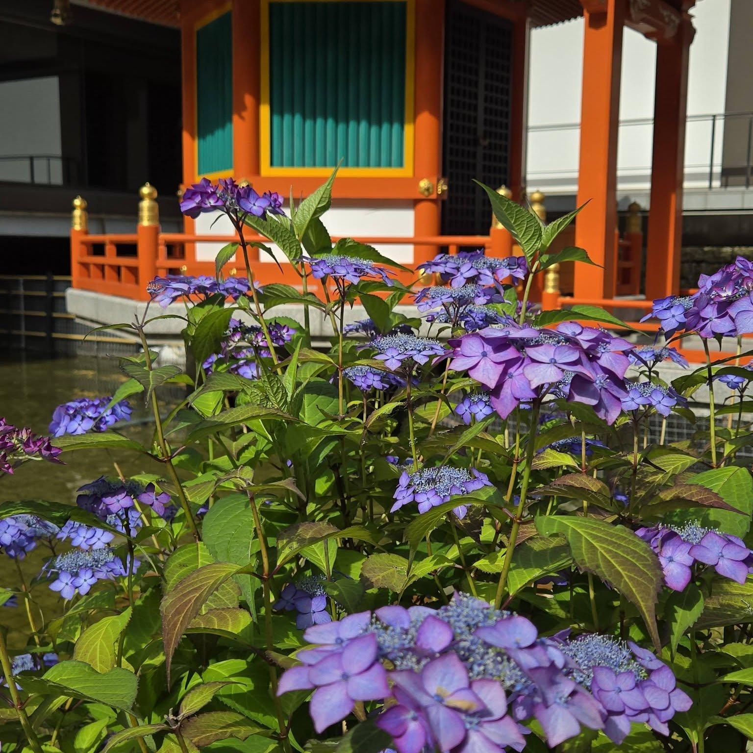 六角堂頂法寺