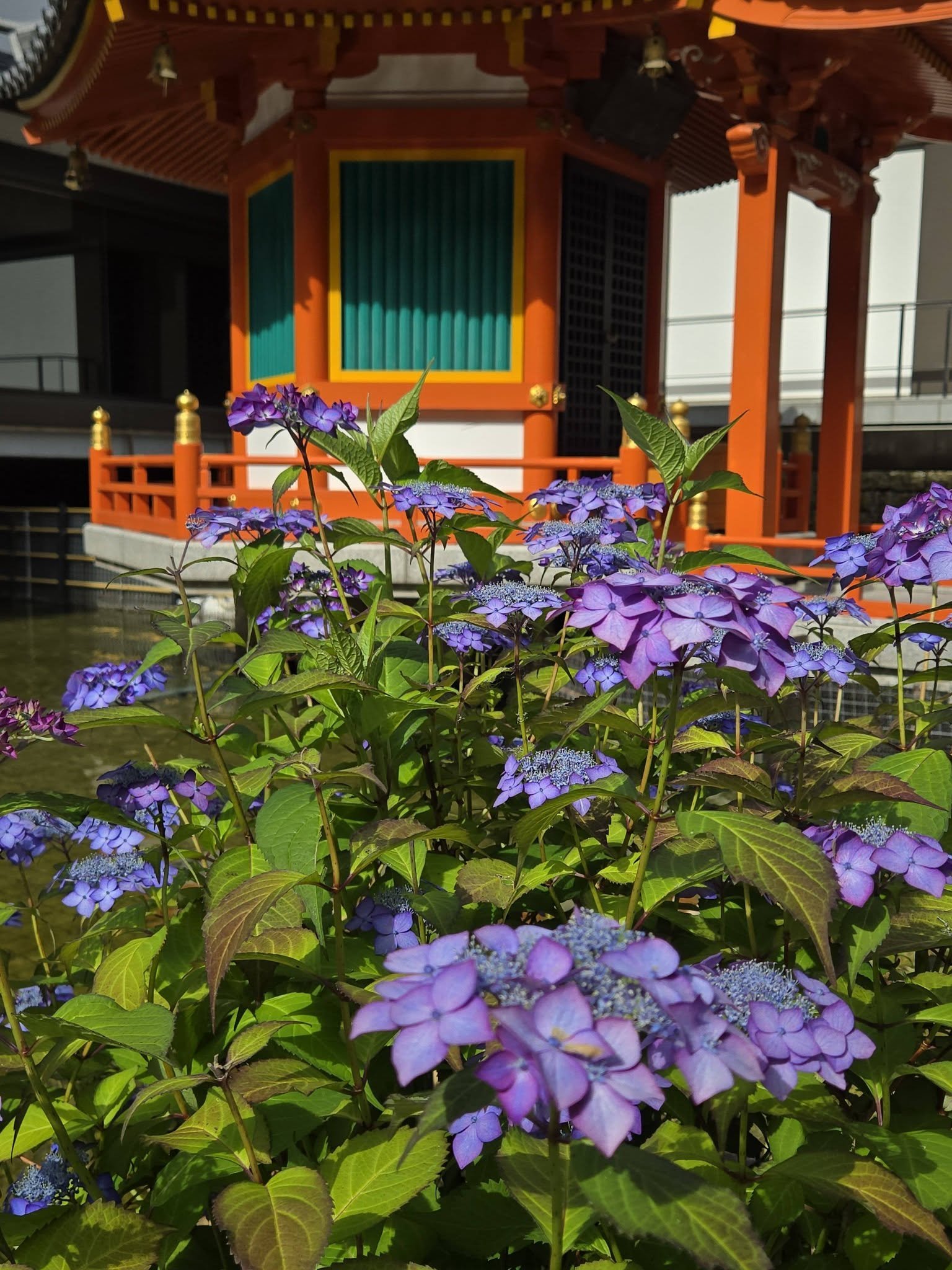 六角堂頂法寺